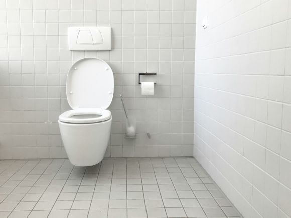 Toilet - white toilet bowl with cistern